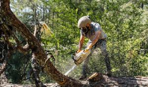 Georgia Pro Tree Services