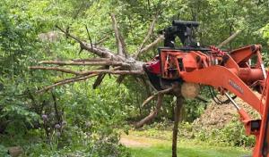 Dudek Tree Service