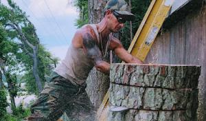 David's Tree Professionals