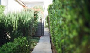 Bella Fiore Landscaping LLC - Certified Arborist by ISA