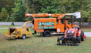 ArborPro Tree Service