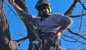 Abe's Low Cost Tree Removal