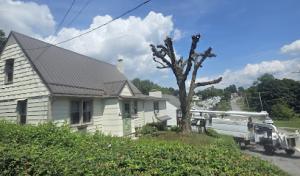 Corson Tree Services