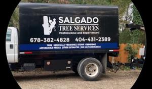 Salgado Tree Service Ellenwood
