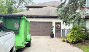 Stump Grinding/Removal | Stump Busters