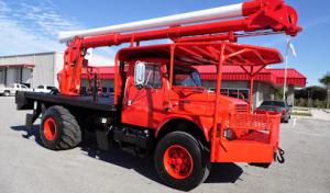 Affordable Tree Service 