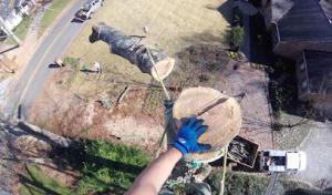 Arbor-All Tree Service