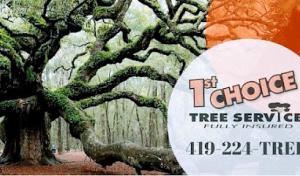 1st Choice Tree Service