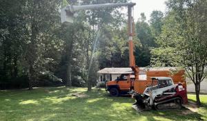 Carolina Tree Worx
