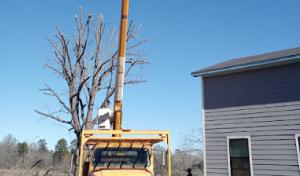 I & N tree & lawn service