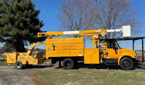 Bark & Branch Tree Service