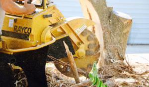 Brett's Stump Grinding