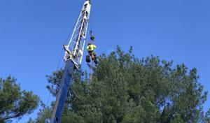 Jd Tree & Landscape Services