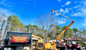 Reynolds & Sons Tree Service