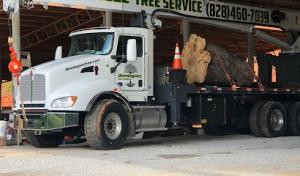 Dominguez Tree Service & Crane