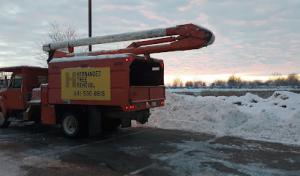 Hernandez Tree Removal
