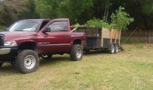 Sanchez Trimming Tree Service ,LLC