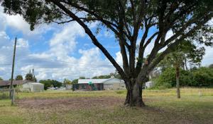 Starrett Stump Grinding | Professional Tree Services