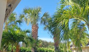 Wright's tree care & disaster relief