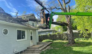 Meyer Tree Care