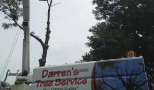 Darren's Tree Service