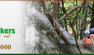 Woodchuckers Tree Service