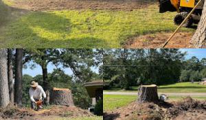 MAD Stump Grinding & More