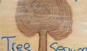 Ever Ready Tree Service