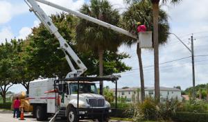 Real Tree Team Naples