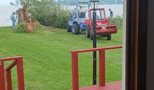 Central Wisconsin Tree Service