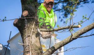 Cross Cut Tree Services & Landscaping
