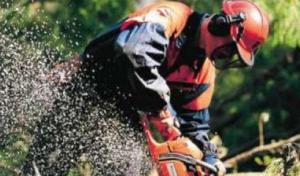 Efficiency Tree Service