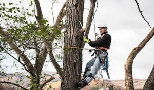 Jerry's Tree Service