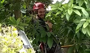 Arbo Lo co. Tree Care