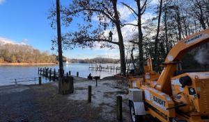 Independent Tree Care