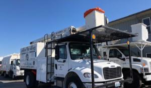 Superior Tree Service