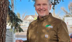 Nelson Forestry Tree Health Care