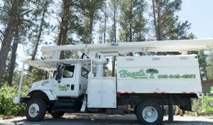 Hagels Tree Service