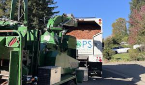 Props Tree & Landscape