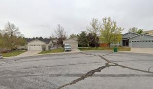 Northern Nevada Tree Experts