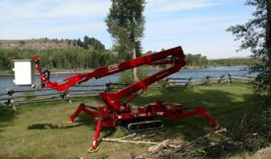 Fernridge Tree Service