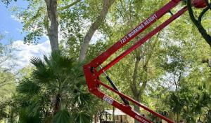 Desert Canopy Tree Service