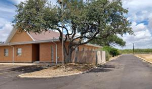 A.Burney's Tree Services