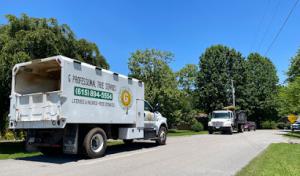 G Professional Tree Service