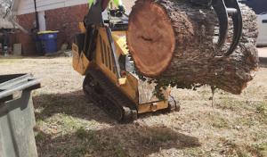 Eshleman Tree Care