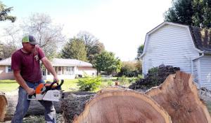 Schreiner's Tree Service