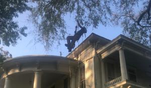 Sunnybrook Tree Service