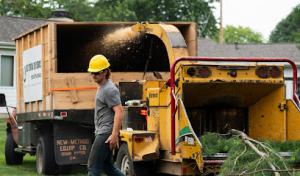 West Central Tree Service