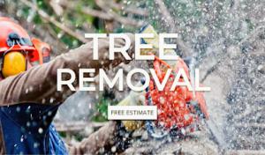 Strickland Emergency Tarping & Tree Removal (Valdosta)