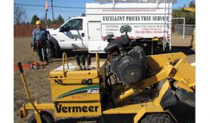 Benitez Excellent Prices Tree Services